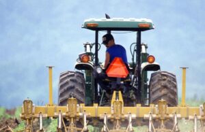 THI Expands Microfinance Support to the Peloponnese