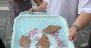 Το μελεκούνι της Ρόδου αποκτά διεθνές επιστημονικό ενδιαφέρον
