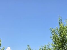 Από το Κεντάκι στην Ημαθία – Xημικός κάνει το χωράφι… τουριστικό προορισμό