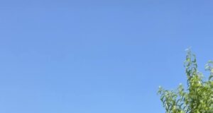 Από το Κεντάκι στην Ημαθία – Xημικός κάνει το χωράφι… τουριστικό προορισμό