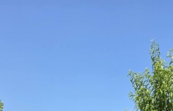 Από το Κεντάκι στην Ημαθία – Xημικός κάνει το χωράφι… τουριστικό προορισμό
