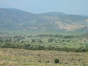 Σημαντική μείωση των γεννήσεων στην Ελλάδα μετά το 2009 – – Αυξήθηκε κατά έξι έτη η μέση ηλικία απόκτησης παιδιών