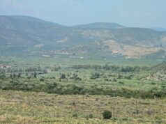 Σημαντική μείωση των γεννήσεων στην Ελλάδα μετά το 2009 – – Αυξήθηκε κατά έξι έτη η μέση ηλικία απόκτησης παιδιών