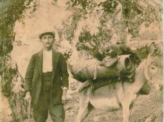 Παραδοσιακά επαγγέλματα που χάθηκαν: Πεταλωτής-σαγματοποιός