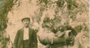 Παραδοσιακά επαγγέλματα που χάθηκαν: Πεταλωτής-σαγματοποιός
