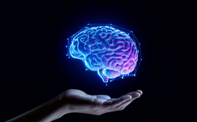 shutterstock_2481678871a